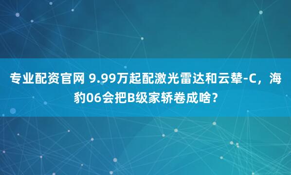 专业配资官网 9.99万起配激光雷达和云辇-C，海豹06会把B级家轿卷成啥？