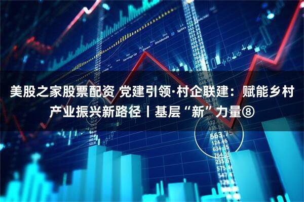 美股之家股票配资 党建引领·村企联建：赋能乡村产业振兴新路径丨基层“新”力量⑧